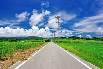 Fototapeta premium 沖縄県小浜島 シュガーロードと夏空
