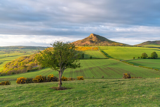 Spring at Roseberry Topping, North Yorkshire, England.
