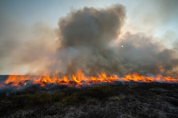 Moorland management, heather burning in the North York Moors National Park, England. Swithens burning.