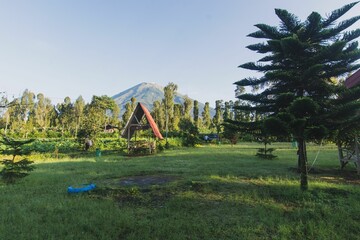 Fototapeta premium Landscape with field, trees and mountain in the distance on a sunny day