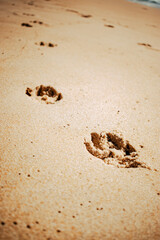 footprint on sand