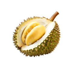 Obraz premium Durian fruit with its full spiky body displayed, isolated on a transparent background for a clear view of its unique texture.