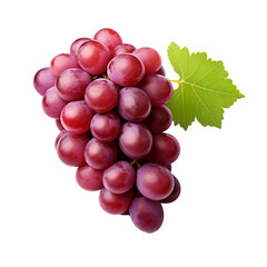 Fototapeta premium Illustration of a plump grape with a detailed full body, rendered against a clear transparent backdrop.
