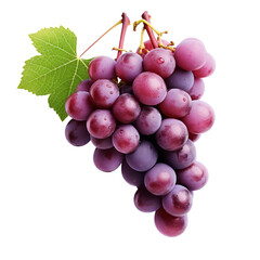 Fototapeta premium A lifelike grape cluster with a complete silhouette depicted against a clear backdrop, showcasing its detailed texture and form.