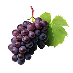 Fototapeta premium Illustration of a plump, realistic grape with detailed texture, cast in front of a clear, invisible backdrop, ensuring full view of its contours.