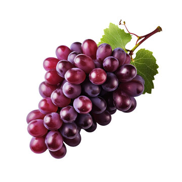 A lifelike illustration of a whole grape with fine details, displayed against a clear transparent backdrop.