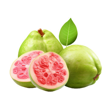 Ripe guava fruit with a complete view is presented against a clear, transparent backdrop, showcasing its vibrant green skin and fresh appearance.