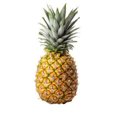 Pineapple with detailed texture, shown in its entirety, against a clear, transparent backdrop suitable for design use.
