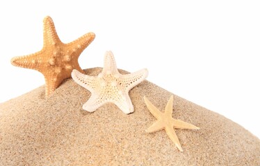 Fototapeta na wymiar Sand with many beautiful sea stars isolated on white