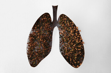 Human lungs shape hole in white paper with dry flowers, top view