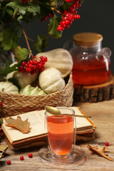 Delicious viburnum tea, books and pumpkins on wooden table. Cozy autumn atmosphere