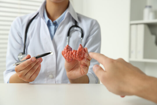 Endocrinologist showing thyroid gland model at white table in hospital and patient pointing at it, closeup