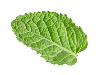 Obraz premium Fresh green mint leaf isolated on white