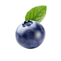 Blueberry with a full-body depiction against a transparent backdrop, showcasing detailed texture and vivid blue-purple hues.