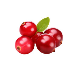 A vivid cranberry fruit graphic, fully detailed and rich in color, is displayed against a clear transparent background.