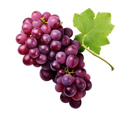 Illustration of a plump, full grape with a realistic body texture, vividly colored, displayed on a clear, transparent backdrop.