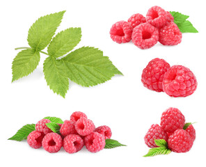 Fresh ripe raspberries and green leaves isolated on white, set