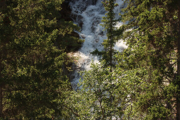 Grassi Waterfall Behind the Trees