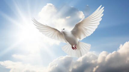 A white dove a sky with clouds background. Symbol of love and peace descends from sky.