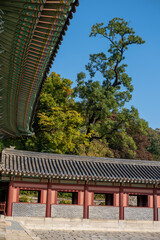 Korean Traditional Building in Secret Garden or Huwon of Changdeokgung Palace with ceautiful autumn foliage. It was used as a place of leisure by members of the royal family