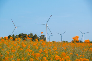 Wind turbine on grassy yellow field against cloudy blue sky in rural area during sunset. Offshore...