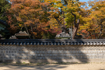 Korean traditional stone wall in Changdeokgung palace with beautiful autumn foliage.
