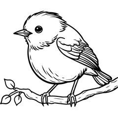 Cute Tuni Bird Line art coloring book page design