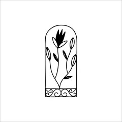 vector illustration of window with roses concept