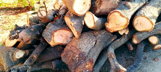 stack of firewood