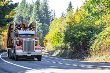 Orange classic big rig American semi truck tractor transporting wood logs on semi trailer running...