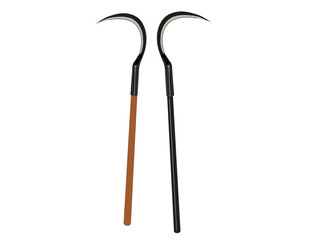 Sickles are used for harvesting rice.