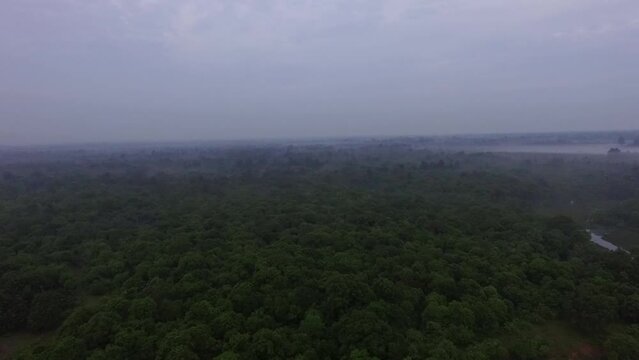 Natural scenery, above Way Kambas Forest National Park. covered in mist.