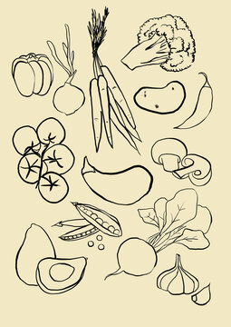 Black illustration of vegetables. Minimalist sketch of vegetables. Doodle art in trend for decoration. Printable digital art