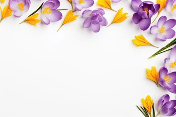 Gordijnen Saffron crocus flowers on white background, space for text. © The Big L