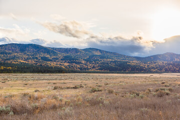 Western Sunset Among the Larches
