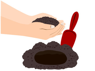 Dig a hole to prepare the soil for planting.