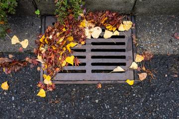 Fall leaves blocking a storm drain on a residential street
