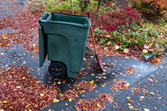 Yard waste bin, rake, and plastic shovel ready to clean up fallen leaves on a wet fall day
