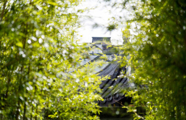 Chinese ancient buildings behind green trees