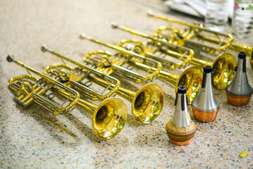 French Horn , trumpet bass instrument - 677017974