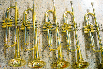 French Horn , trumpet bass instrument - 677017977