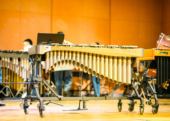Percussion xylophone instrument orchestra concert