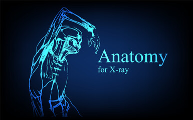 Human anatomy in front on x ray view. Anatomy human body connection, Medical, educational or science banner on futuristic blue background, Vector hand drawn illustration