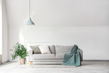 Interior of light living room with grey sofa, plant and lamp