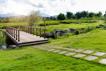 Wooden bridge in the park