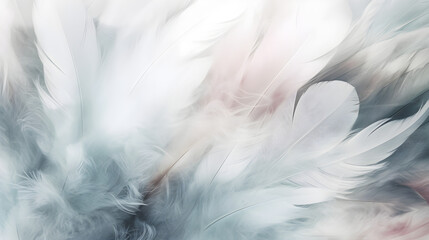Fototapeta premium soft abstract feather fluffy background wallpaper