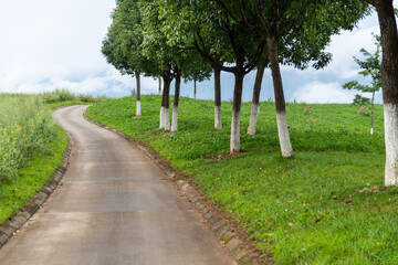 Landscape of empty country path
