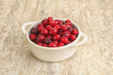 Ripe sweet tasty cranberry in the bowl