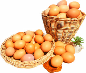 Chicken eggs in a wicker basket, white background