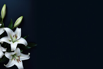 Fototapeta na wymiar minimalistic lilies with dark blue background with copy space